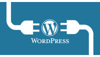 Thiết kế website WordPress chuẩn SEO